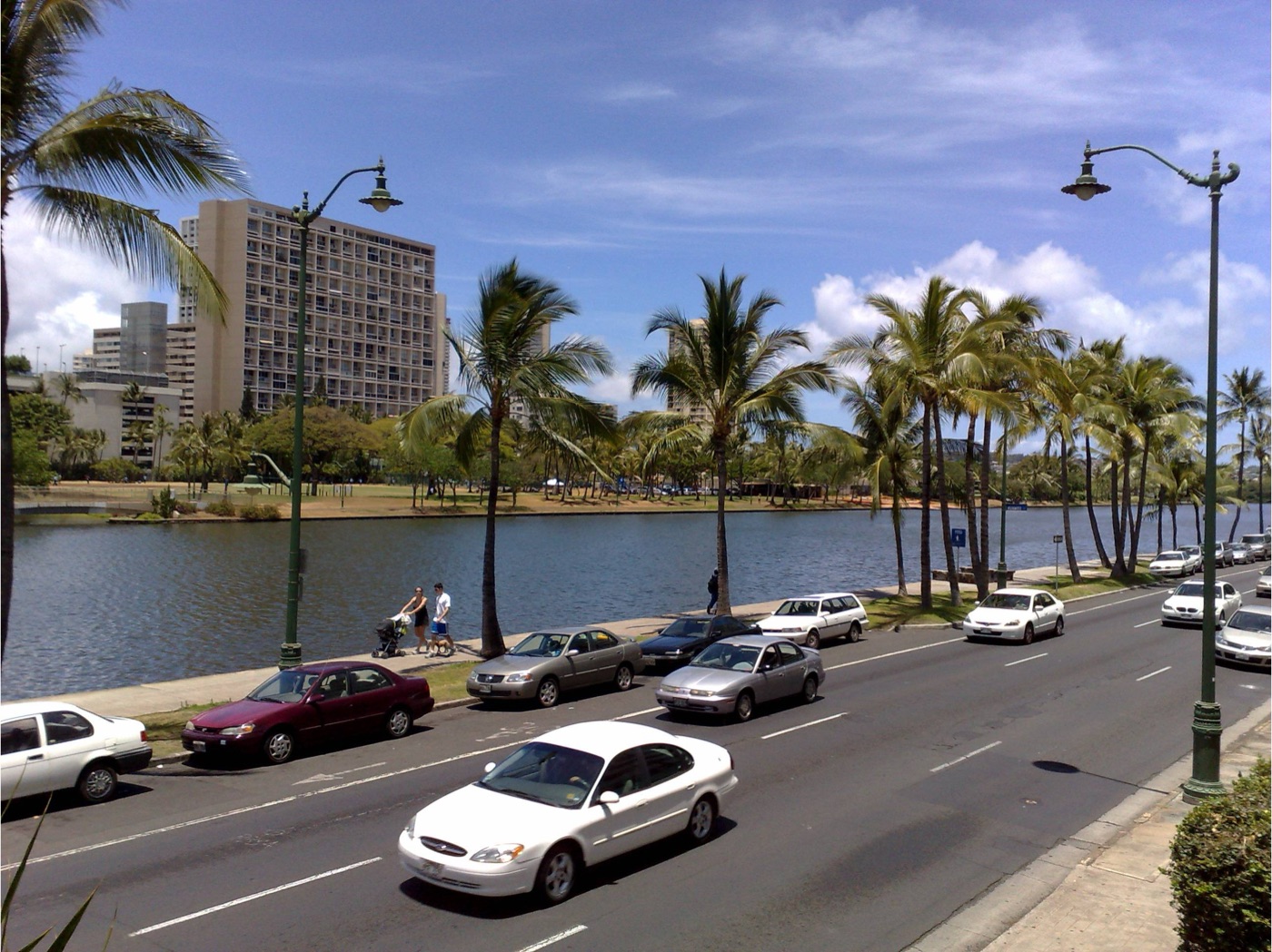Ala Wai Canal and palm trees near the property
